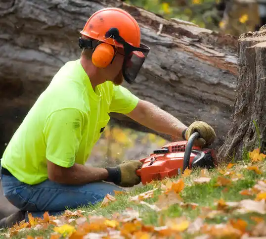 tree services Cassville